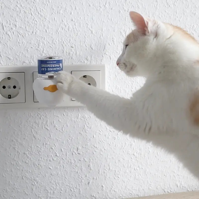 ZenPaws Beruhigungs Pheromon Diffuser